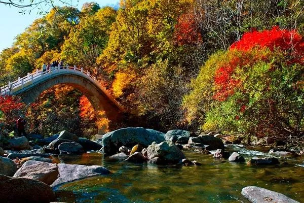 天橋溝國(guó)家森?
?公園在哪 最適合什么時(shí)候去玩