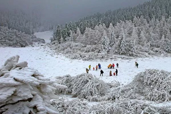 2021重慶仙女山看雪最佳時間 仙女山看雪攻略