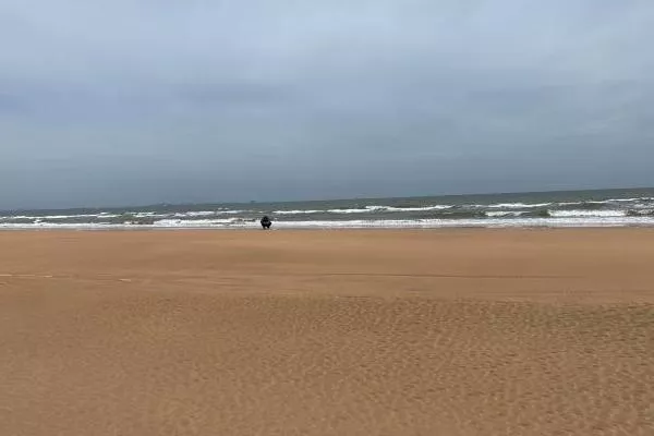 日照海濱國家森林公園地址 在哪里