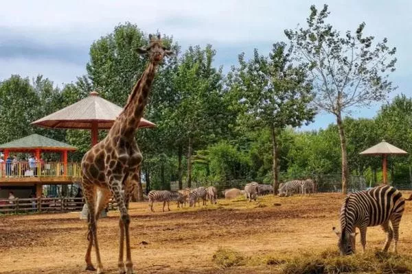 2022沈陽森林動物園營業(yè)時間及門票價格