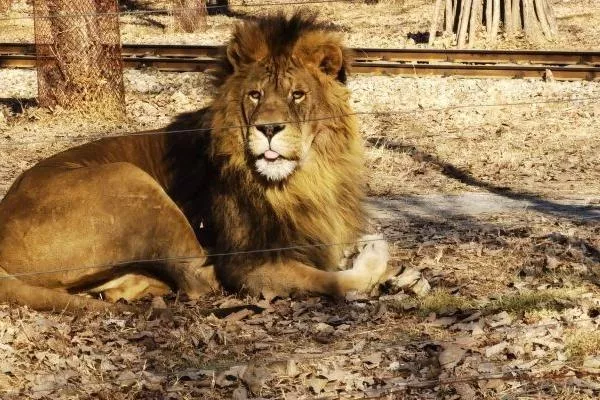 秦皇島野生動物園具體位置