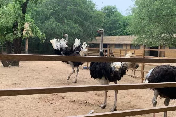 秦皇島野生動物園具體位置