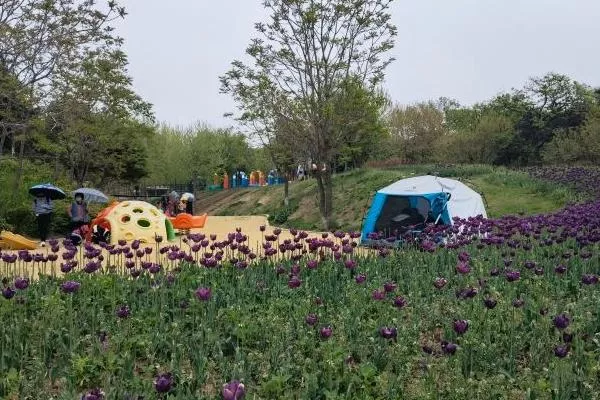 大連英歌石植物園具體地址在哪 在大連哪里