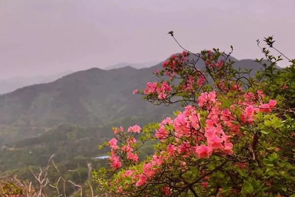 湖北武漢黃陂云霧山<a href='/fengjing/' target=_blank>風(fēng)景</a>區(qū)在哪里?木蘭云霧山在哪個(gè)地方?