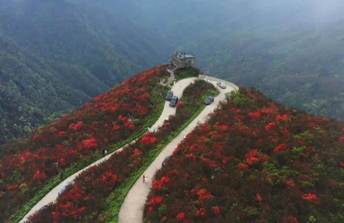 <a href='/yangmingshan/' target=_blank>陽明山</a>