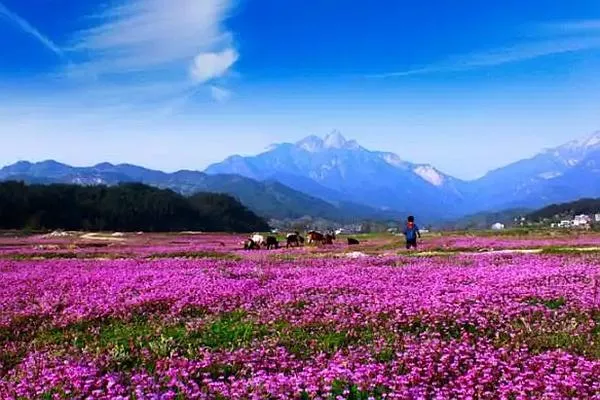 羅田燕兒谷景區(qū)游玩攻略 門票、住宿、最佳游玩時(shí)間都在這了