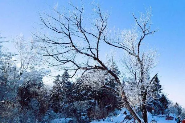 2021吉林北大湖滑雪場好玩嗎 北大湖滑雪場門票+地址信息