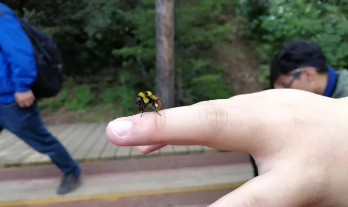 香格里拉普達措國家公園旅游攻略