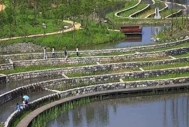 北京三月踏青好去處 踏青濕地公園景點推薦